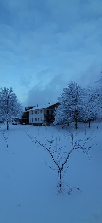 מסטיה Guest House Tavaduri מראה חיצוני תמונה